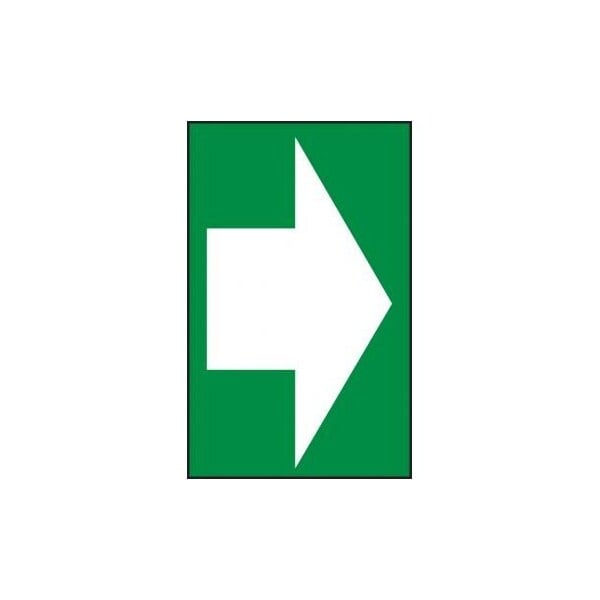 Accuform Plastic, 8 in x 5 in, Mounting Holes PSP108 - main